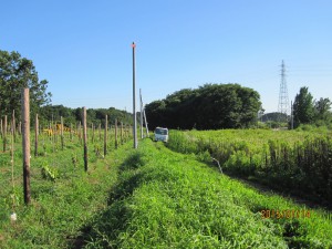 電柱と工事車両