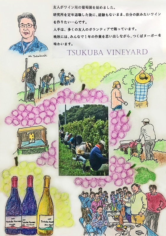 2019年 明けましておめでとうございます！ – Tsukuba Vineyard 栗原醸造所